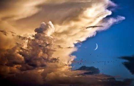 Fotografia aceasta este pur si simplu fabuloasa!