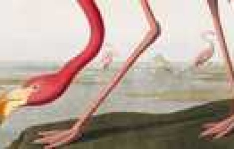 Stiti care este cea mai scumpa carte din lume?