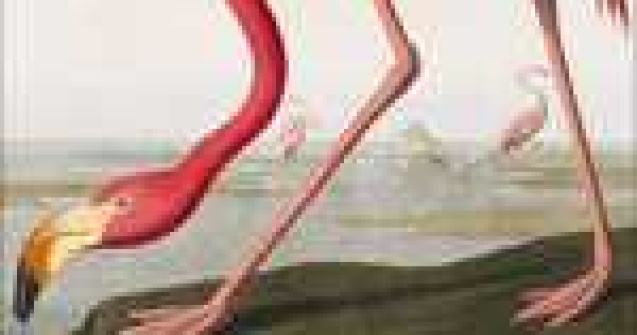 Stiti care este cea mai scumpa carte din lume?