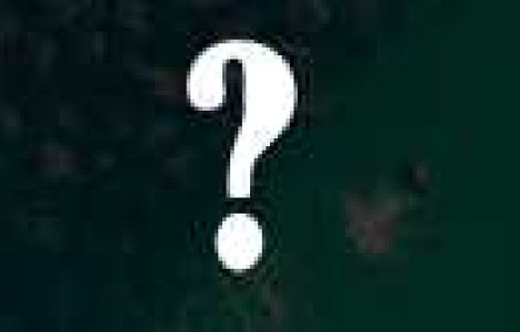 Environment: Aceasta este fotografia anului!