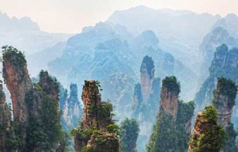 Pandora se afla pe Pamant! Vezi fotografia!