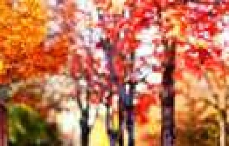 Fotografia perfecta pentru toamna...