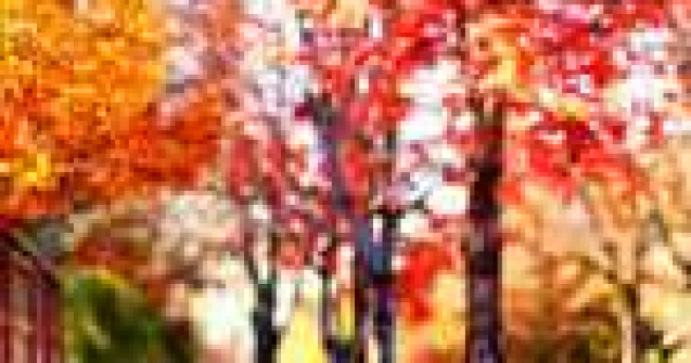 Fotografia perfecta pentru toamna...