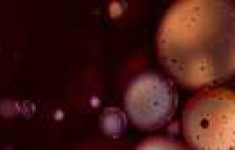 Oare ce apare in aceasta fotografie?