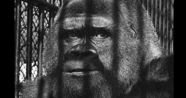 Super fotografii alb negru: Cum era viata candva...