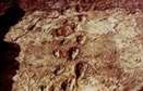 Poza fascinanta: Incotro ne vom indrepta?