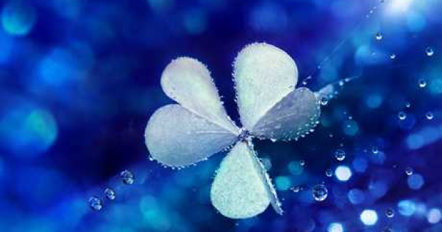 Fotografii minunate: Capturile macro ale Majei