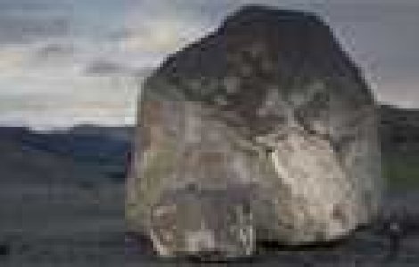 Incredibil: Cine a pus bolovanul acolo?