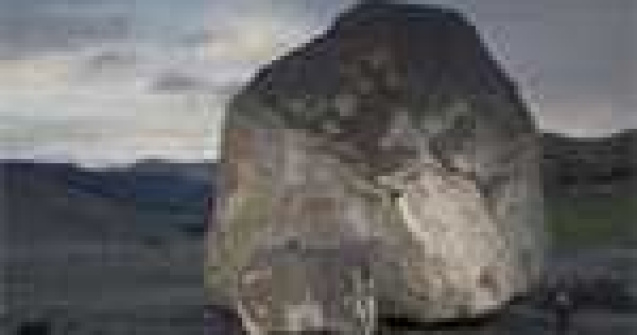 Incredibil: Cine a pus bolovanul acolo?