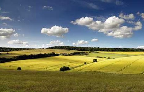 Fotografii grozave de Peter Spencer