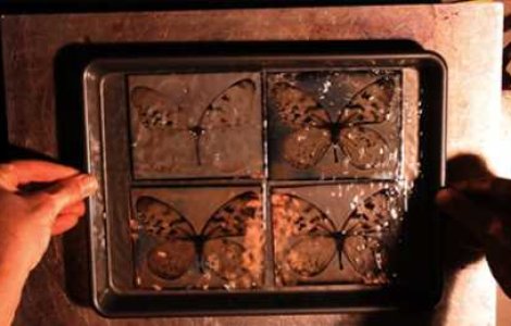 Se pot face fotografii fara aparat foto?