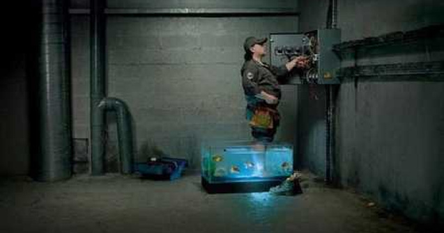  Top  Funny: Siguranta e mereu pe locul intai!