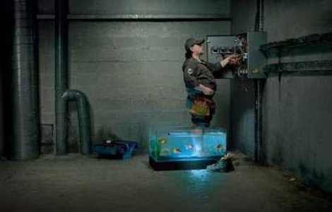  Top  Funny: Siguranta e mereu pe locul intai!