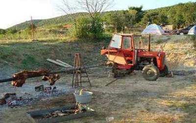 35 de poze amuzante:...