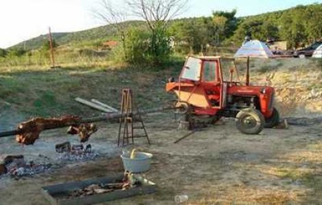  Top  35 de poze amuzante: Inteligenta maxima!