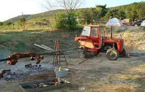  Top  35 de poze amuzante: Inteligenta maxima!