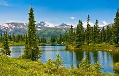 Natura in fotografii superbe de Sandy Stewart