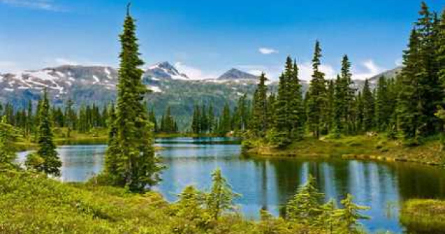 Natura in fotografii superbe de Sandy Stewart