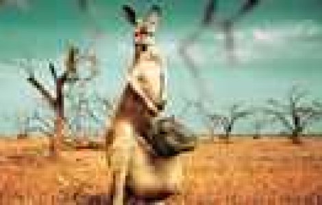  Top  Must see: 22 de reclame tari