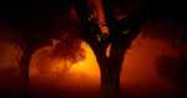 Fotografii superbe de Tom Baker