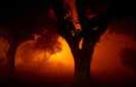 Fotografii superbe de Tom Baker