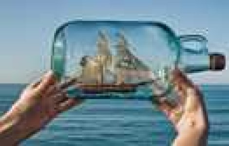 Fotografii pline de creativitate si umor