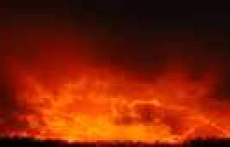 Fotografii excelente de Tom Lussier