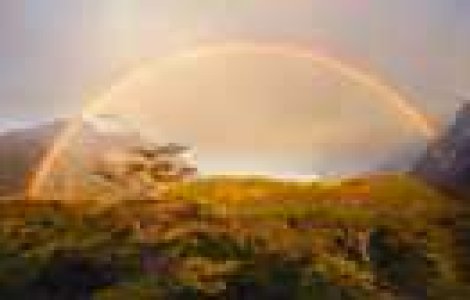 Magie in fotografiile lui Ian Plant