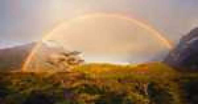 Magie in fotografiile lui Ian Plant