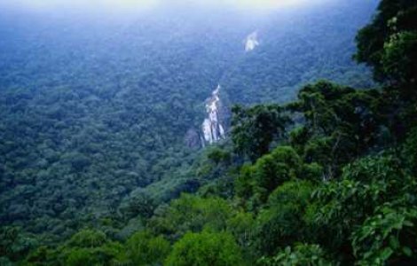 Nazisitii din Jungla Amazonului