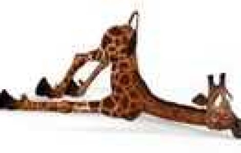 Colectie de bancuri pentru inceputul saptamanii