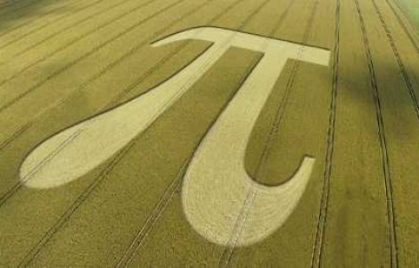  Top  Arta in lanul de porumb