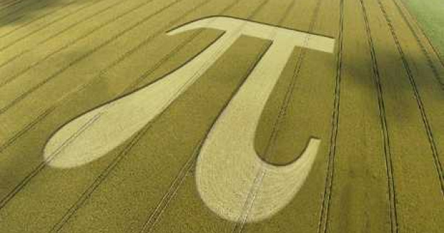  Top  Arta in lanul de porumb