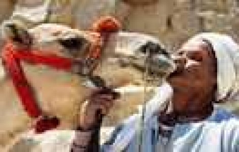 Cele mai absurde legi din lume