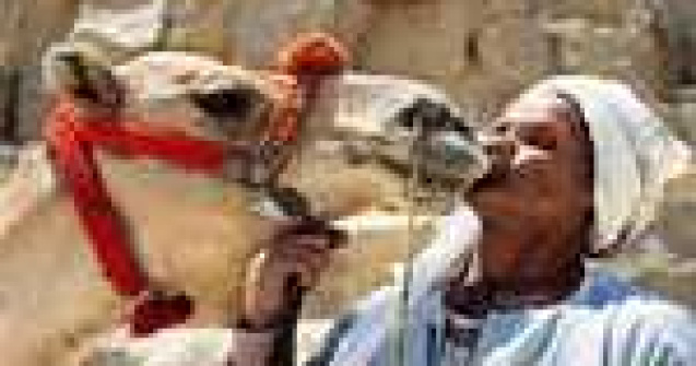 Cele mai absurde legi din lume