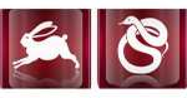 Horoscopul Chinezesc al iubirii pentru Primul Trimestru - Primavara 2011