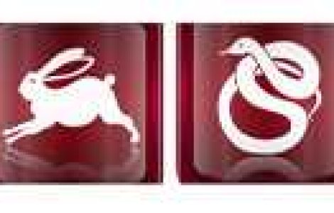 Horoscopul Chinezesc al iubirii pentru Primul Trimestru - Primavara 2011