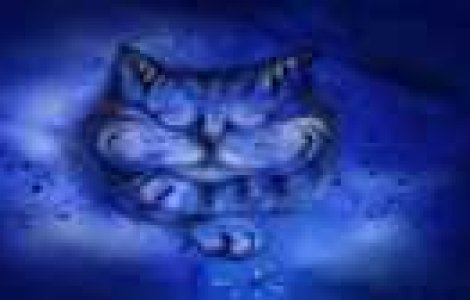  Top  Super Ilustratii semnate Alexandra Astashonok