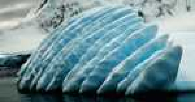  Top  Fascinanta Antarctica: 21 de poze care vorbesc de la sine