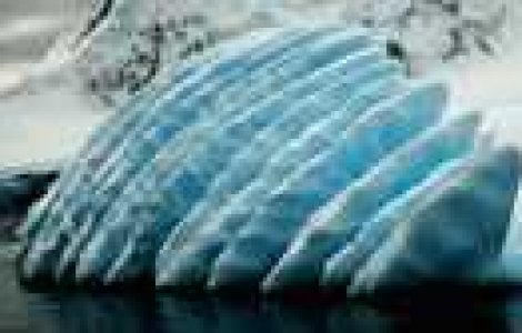  Top  Fascinanta Antarctica: 21 de poze care vorbesc de la sine