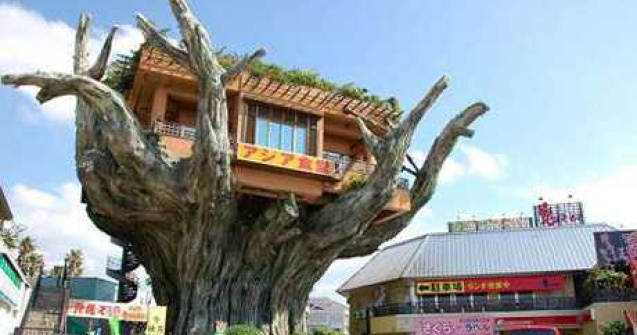  Top  TOP 8: Cele mai neobisnuite cafenele din lume