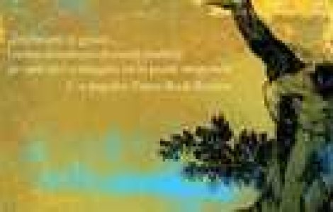 Privind la suferinta celuilalt - Susan Sontag