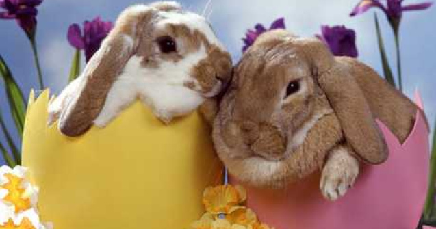Cele mai siropoase mesaje primite de Paste