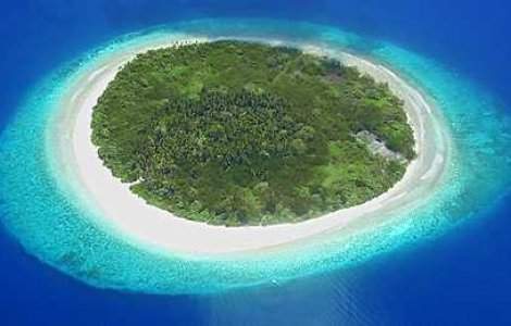 TOP Zece: Minuni ale Naturii care ar putea disparea in 45 de ani