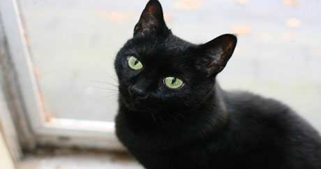 Oamenii sunt superstitiosi! Oare de ce credem in ele?