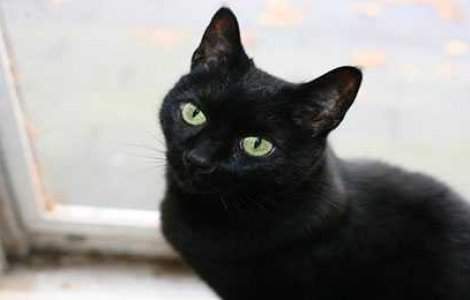 Oamenii sunt superstitiosi! Oare de ce credem in ele?
