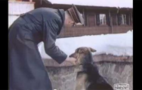 Armele secrete ale lui Hitler: Cainii care vorbeau