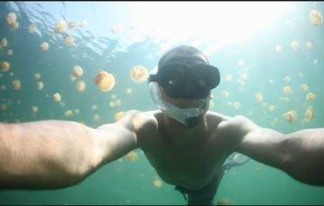 Unic: Lacul meduzelor din Republica Palau