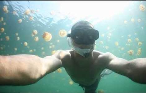 Unic: Lacul meduzelor din Republica Palau