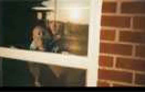 (NOU) Videoclip Kings Of Leon &#8211; Back Down South